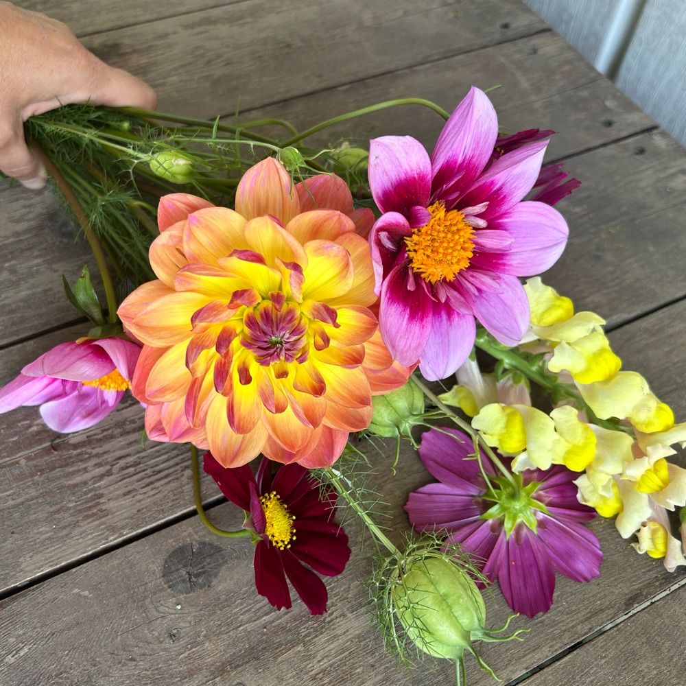 Gardening and Pretty Things