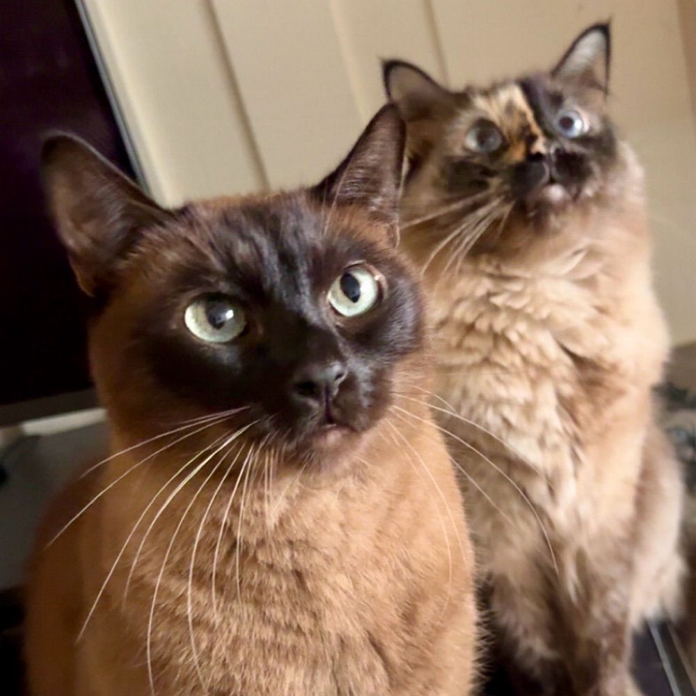 Aurora & Philly
