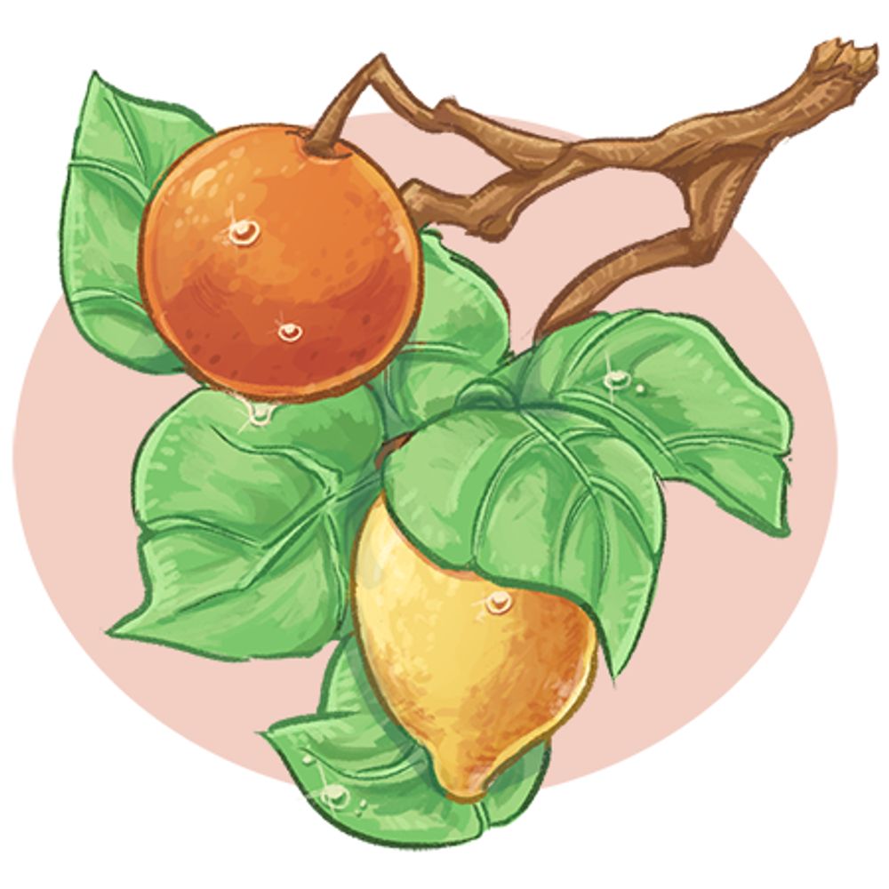 OrangeLemonArt