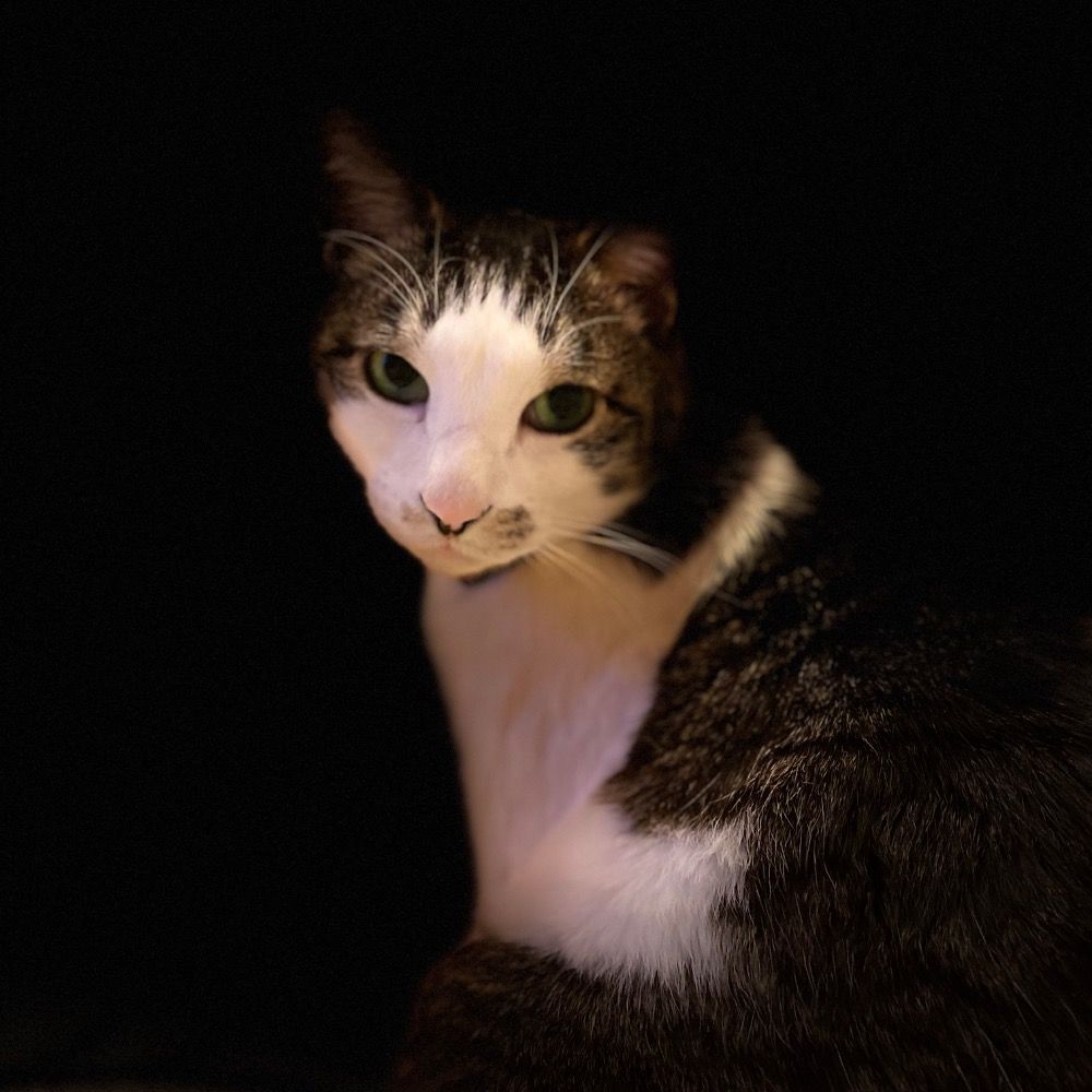 ぴーたん