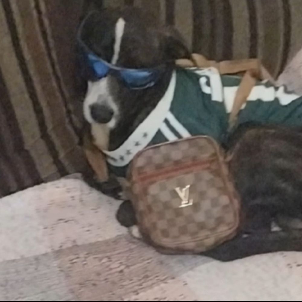 Zezé
