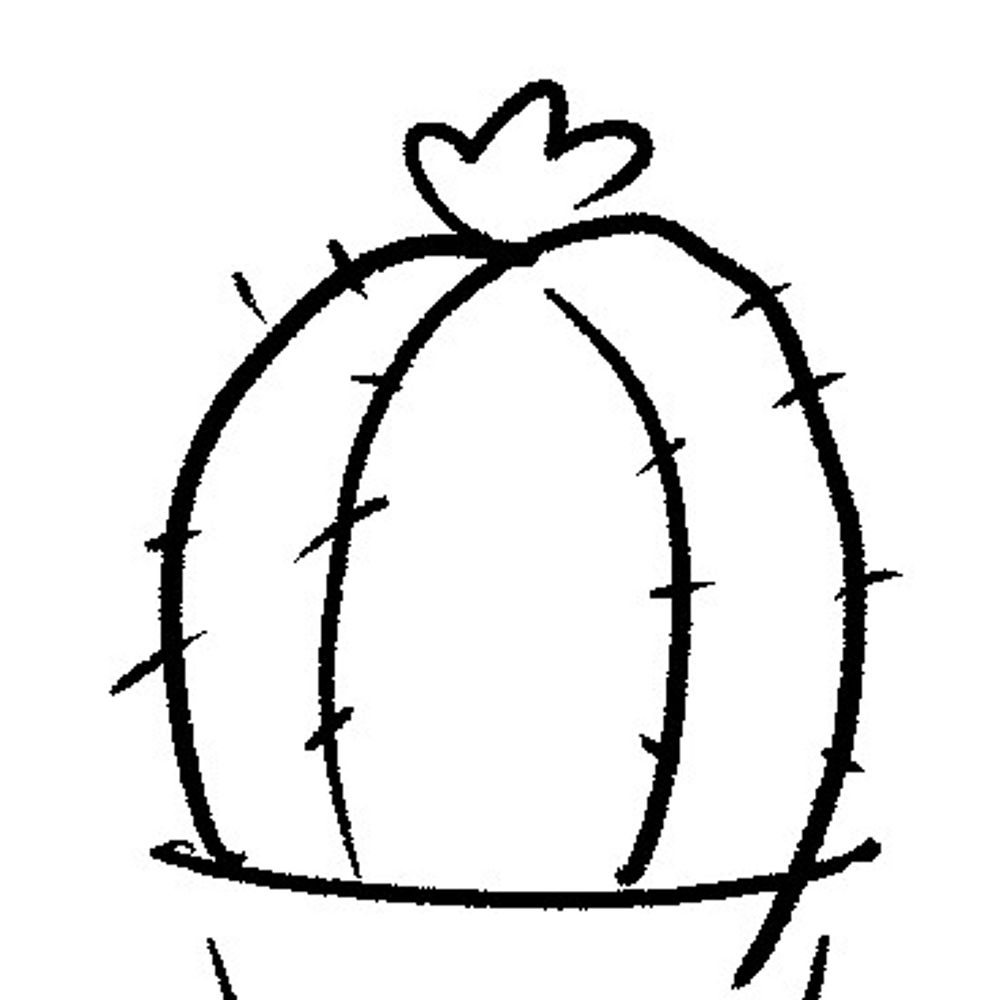 MyCactus