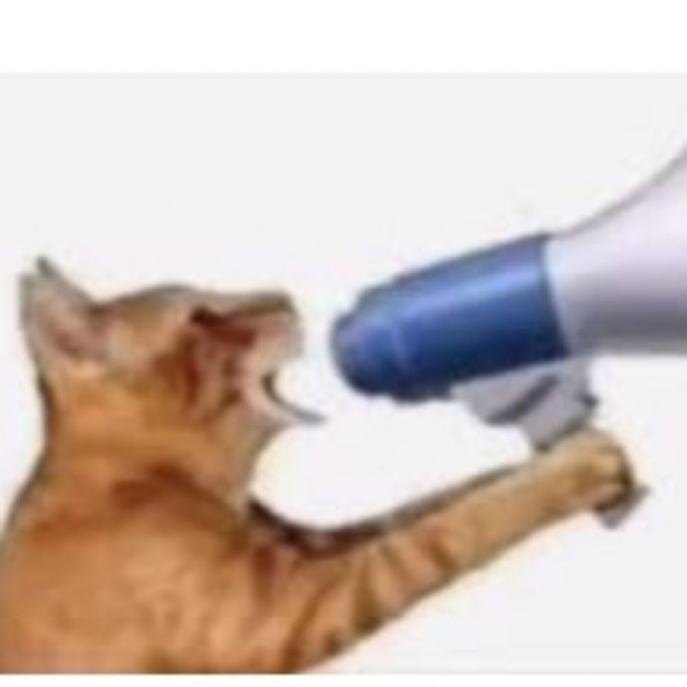 EEEEEEEAAAAAAAAAAAA!!!!!1!!1!1!1