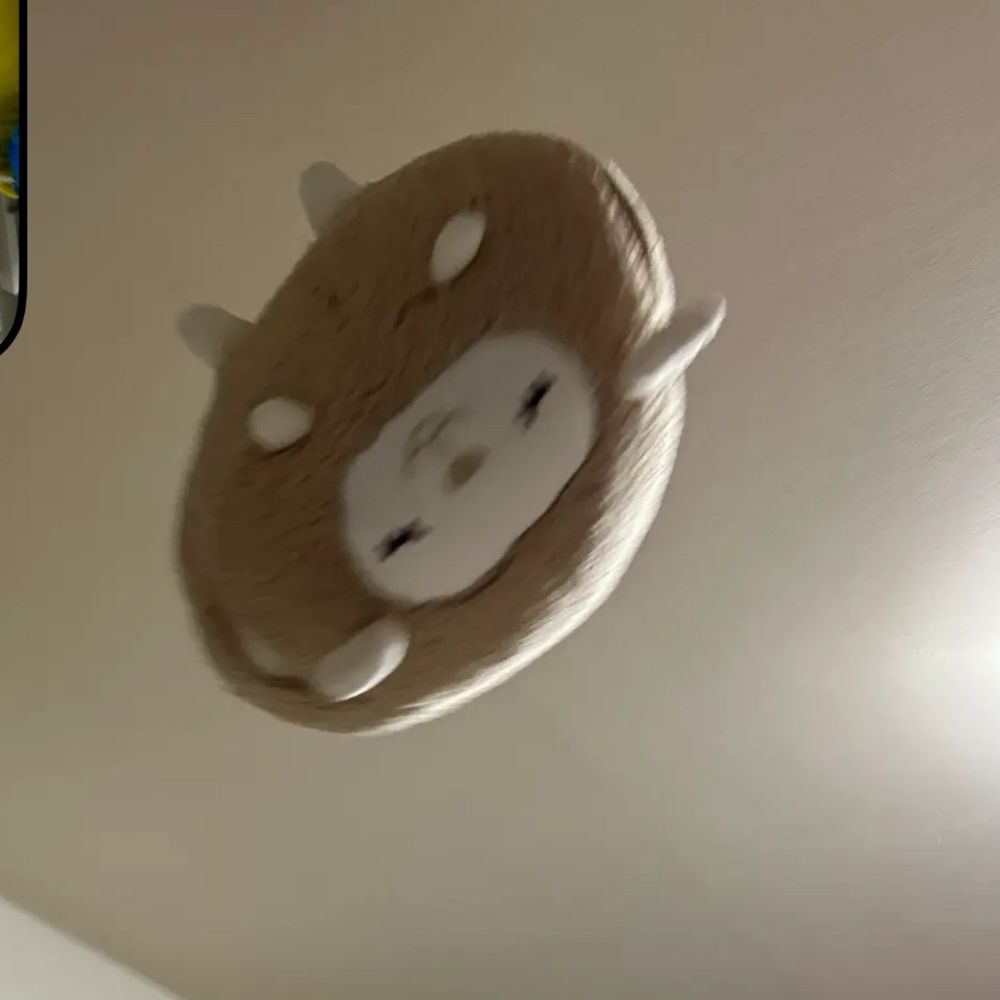 オーキド