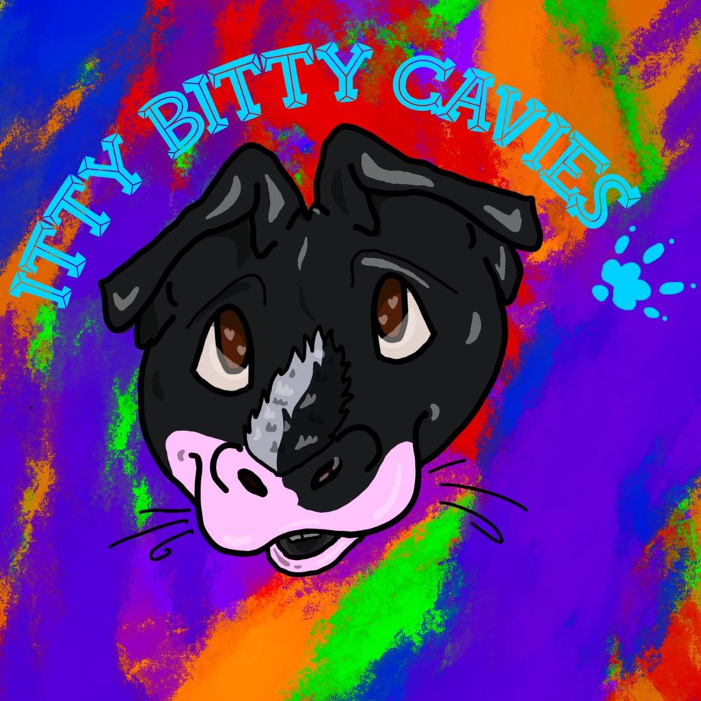 Cavy Craze 🏳️‍🌈🏳️‍⚧️🇵🇸