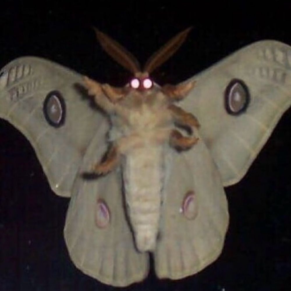Caconym