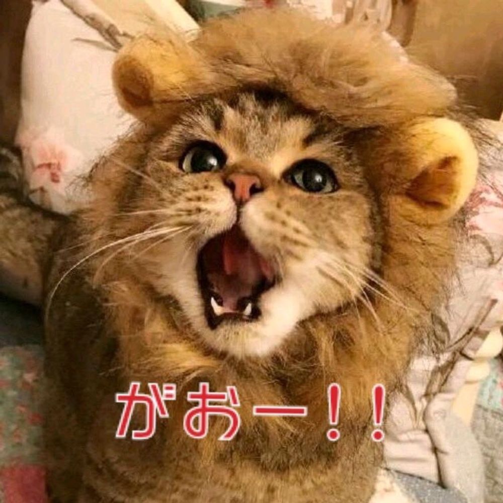 あずき