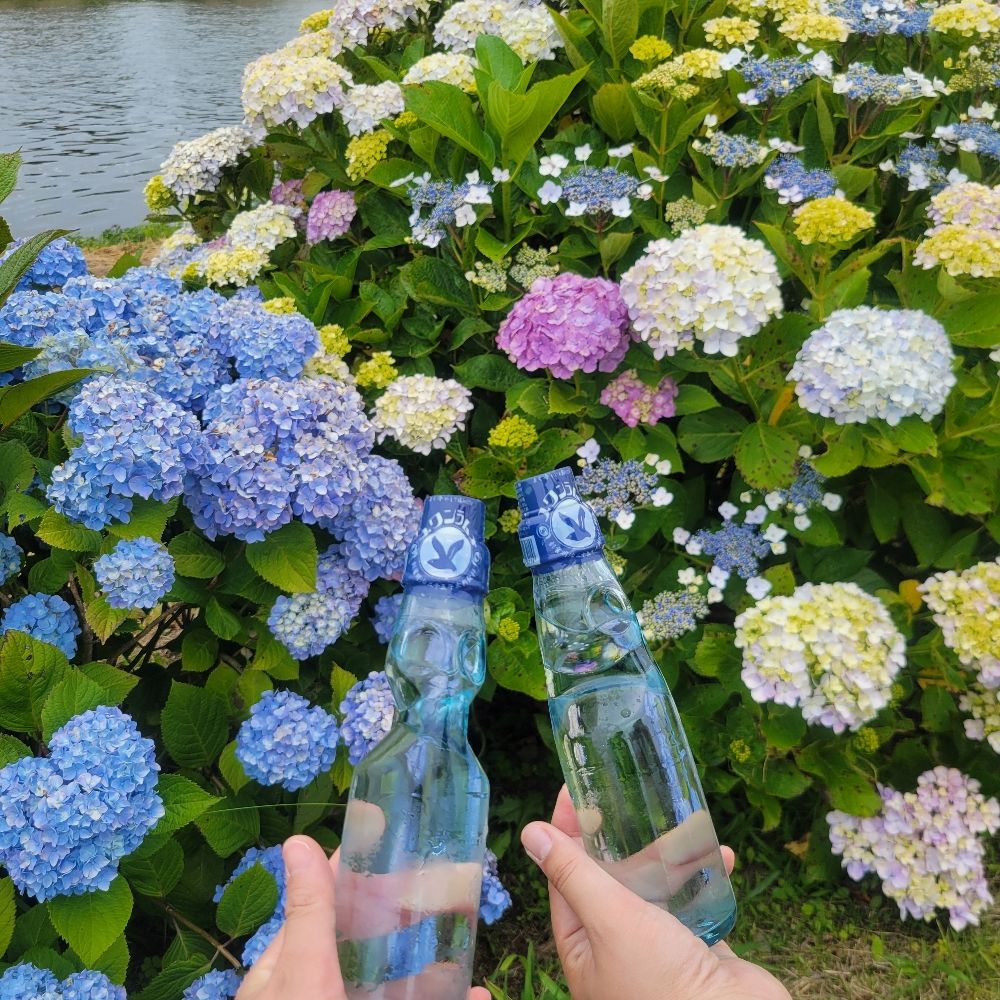 銀杏