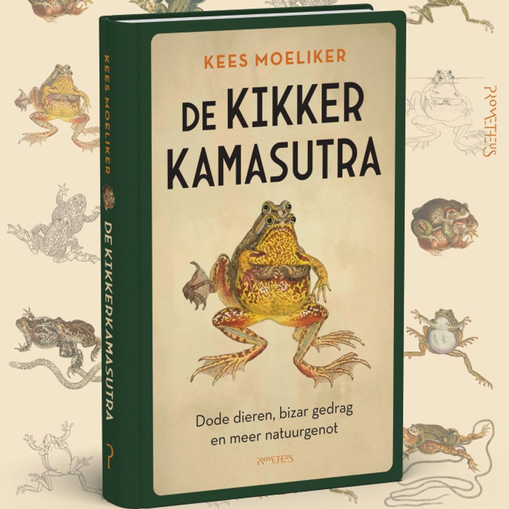 Kees Moeliker