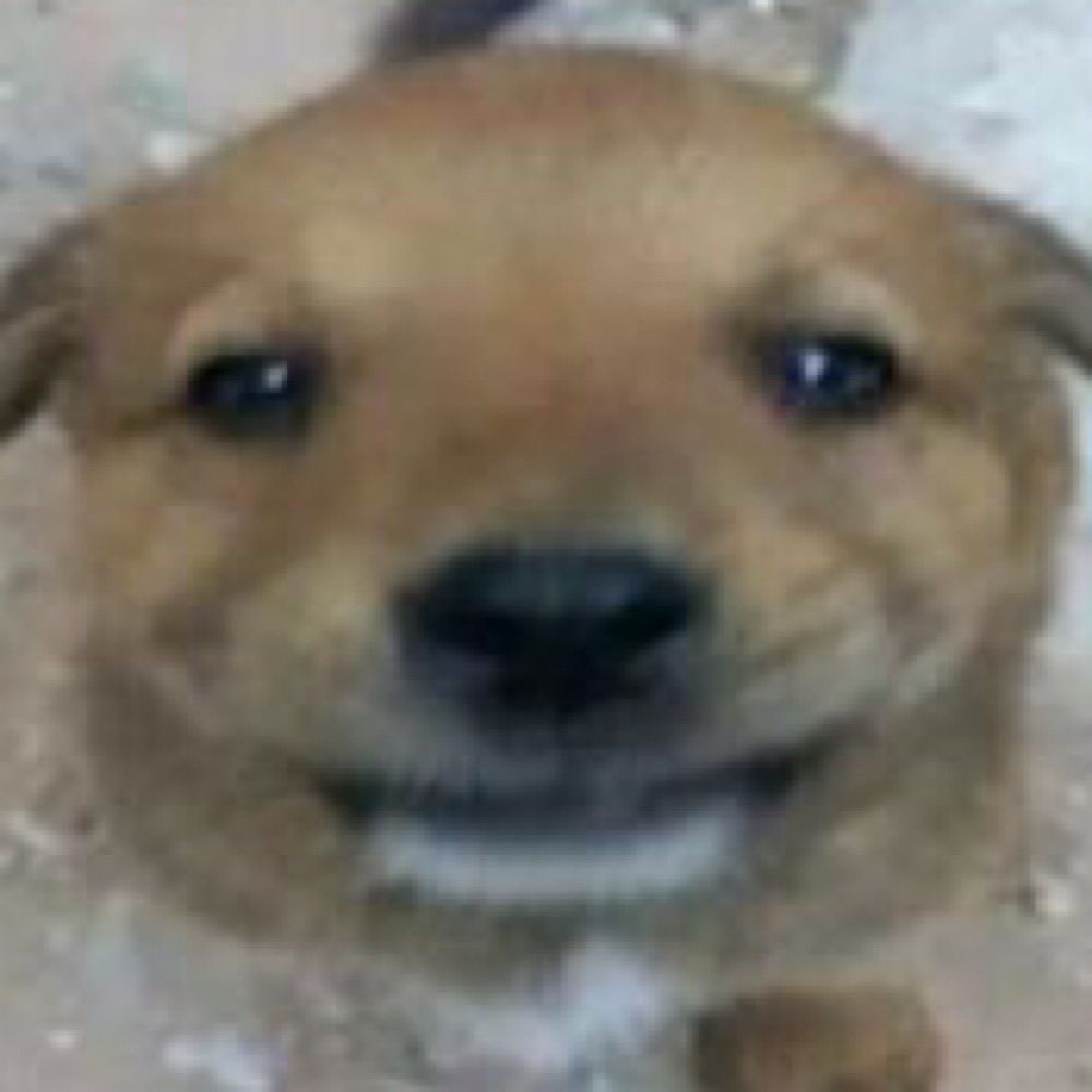 ?