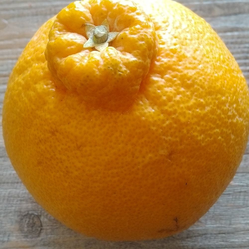 全角ひらがな