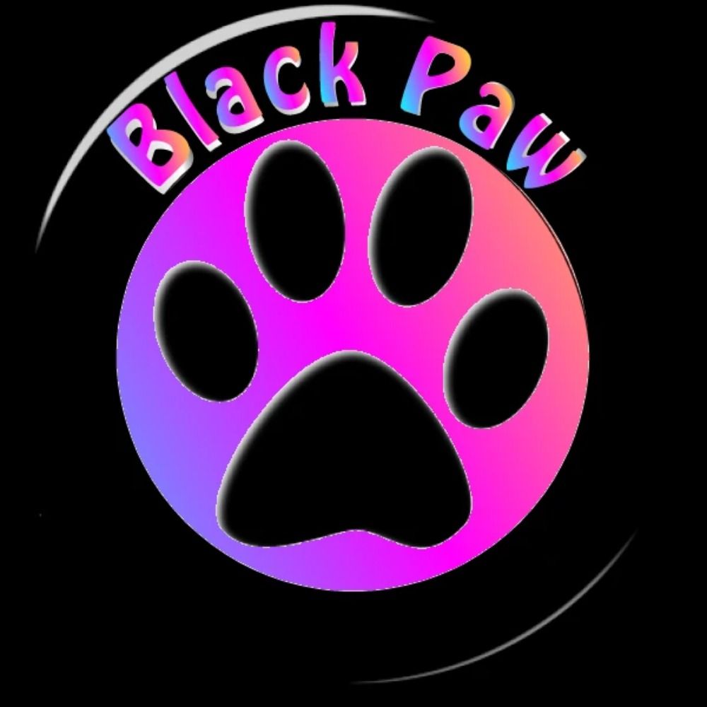 Black paw Studios