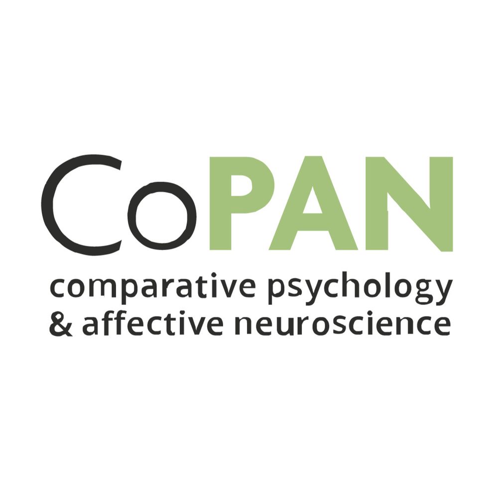 CoPAN