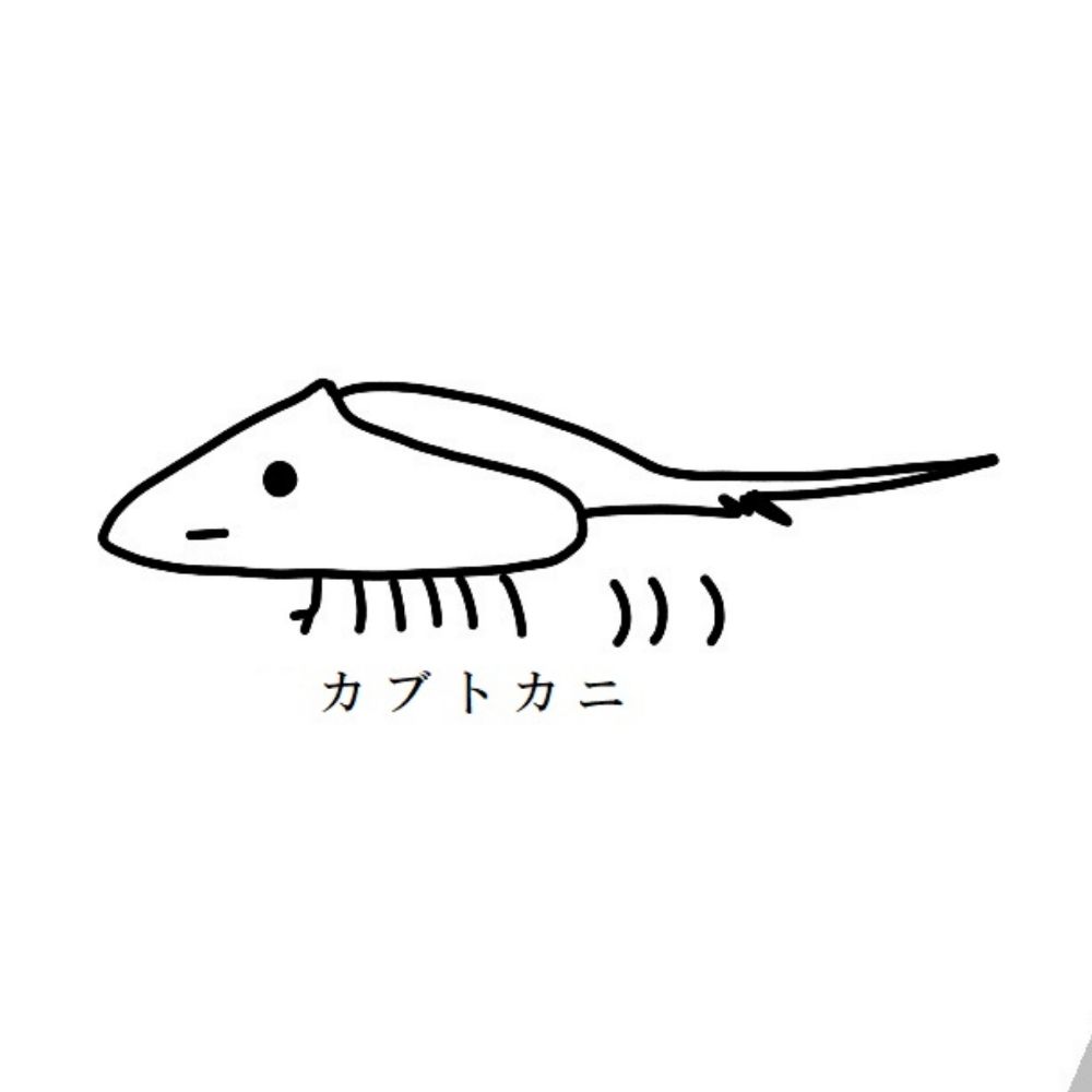 カブトガニ