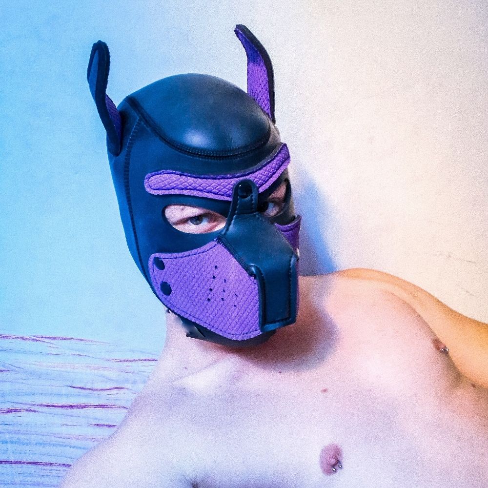 PupMark 🔞🇧🇷