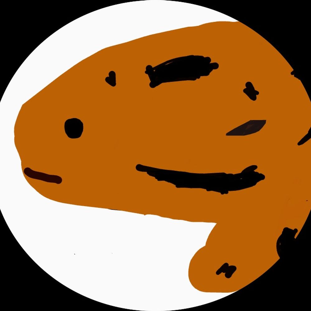 山椒魚通信
