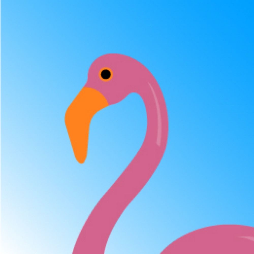 UnkemptFlamingo