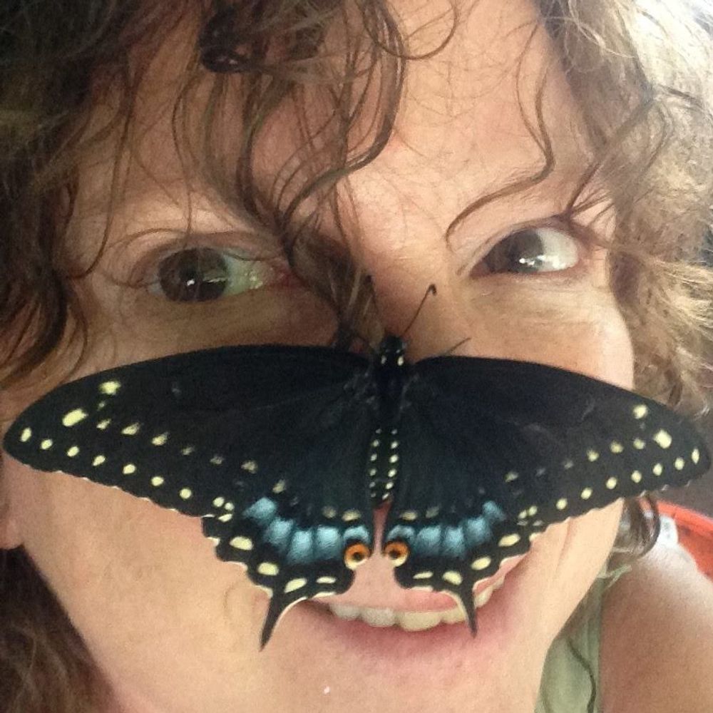 Diane DeVilbiss