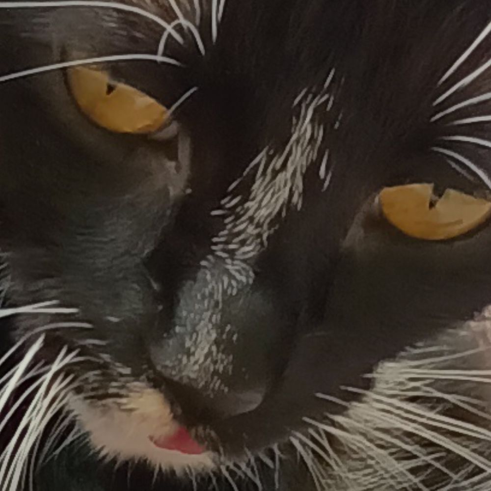 Maru
