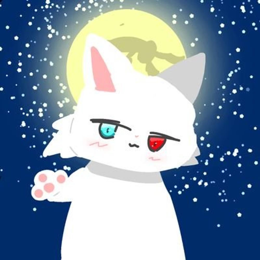 ゲームするしろねこさん!🦁🐰