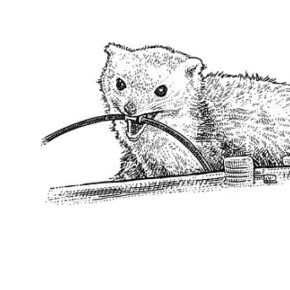 wire weasel