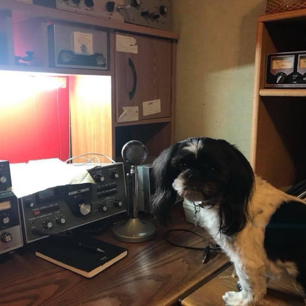 Ham Radio enthusiast