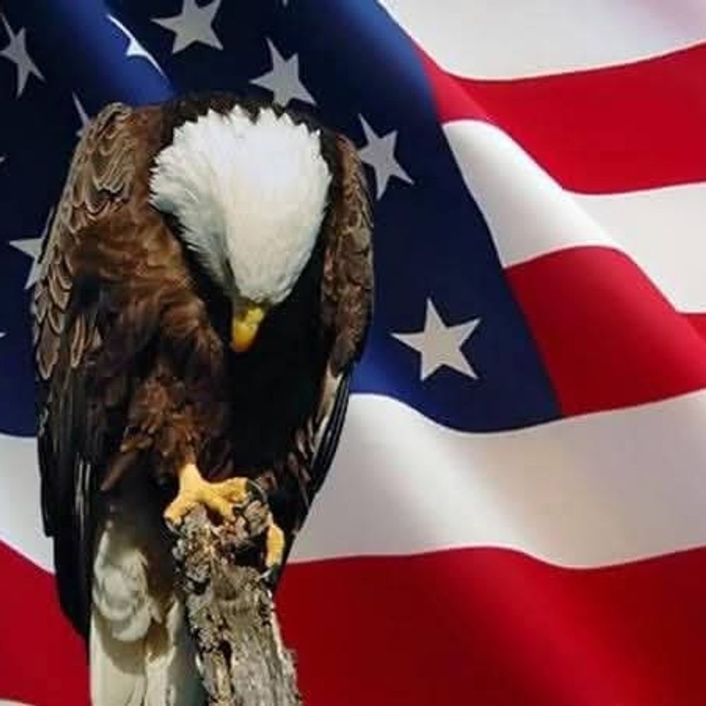 bison76.bsky.social profile picture