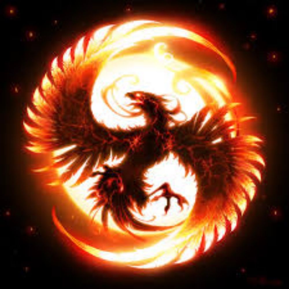 Alipha