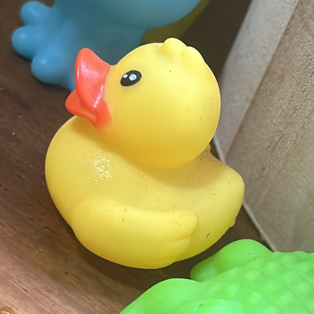 Usuário não encontrado 