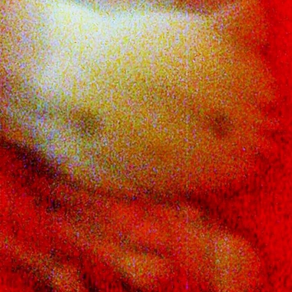 bagpusskitty.bsky.social profile picture