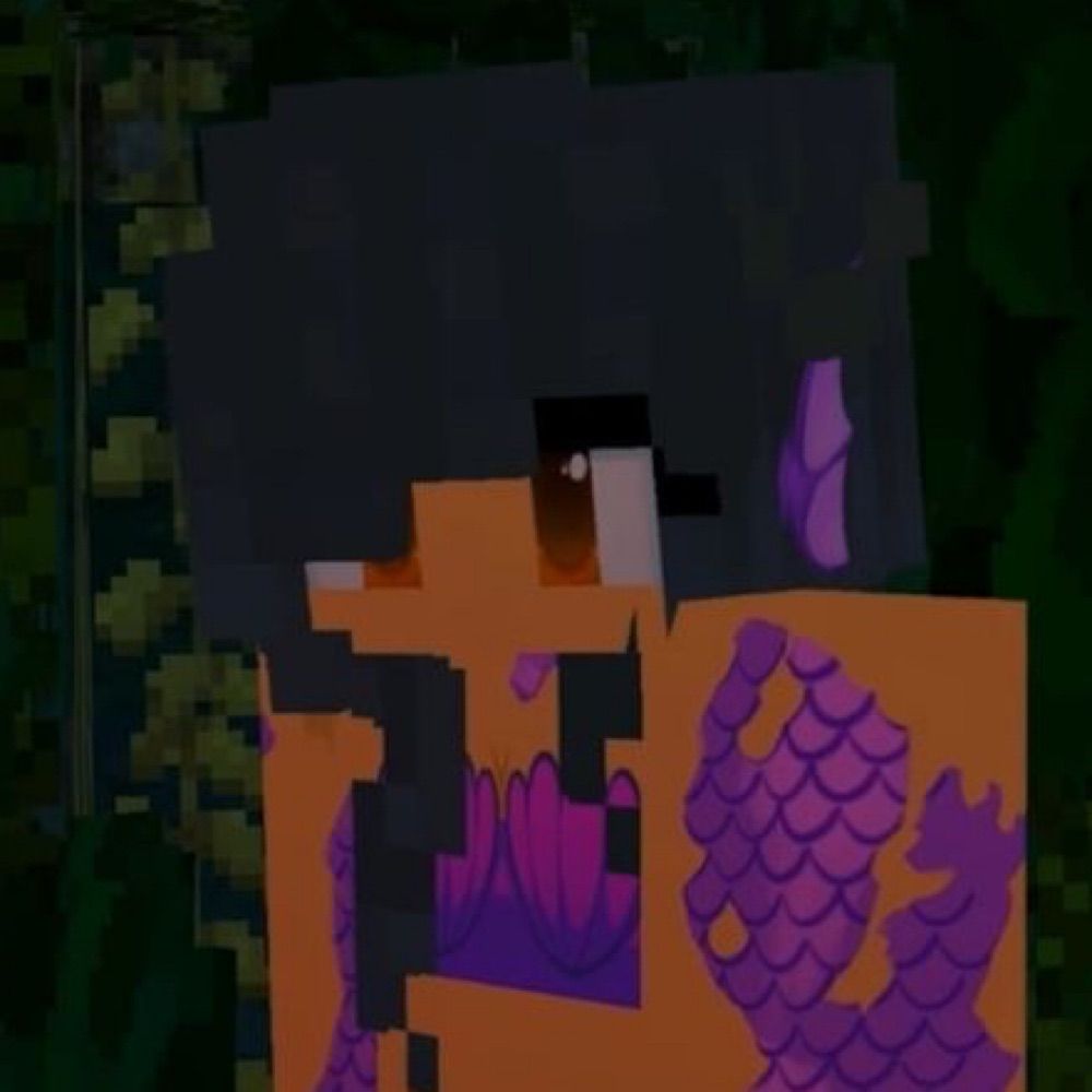 SASH / APH !!! 