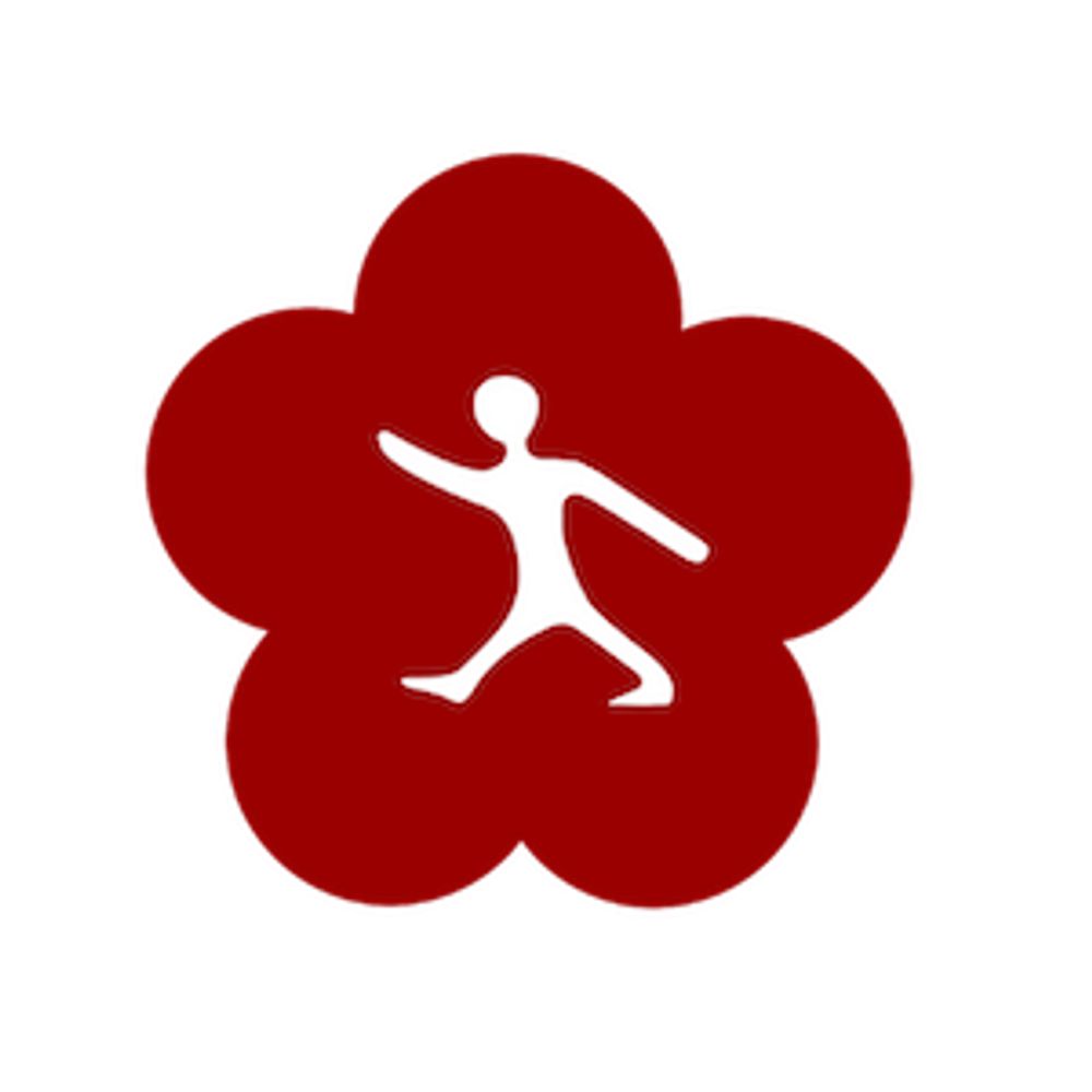 Kung Fu Fxbg