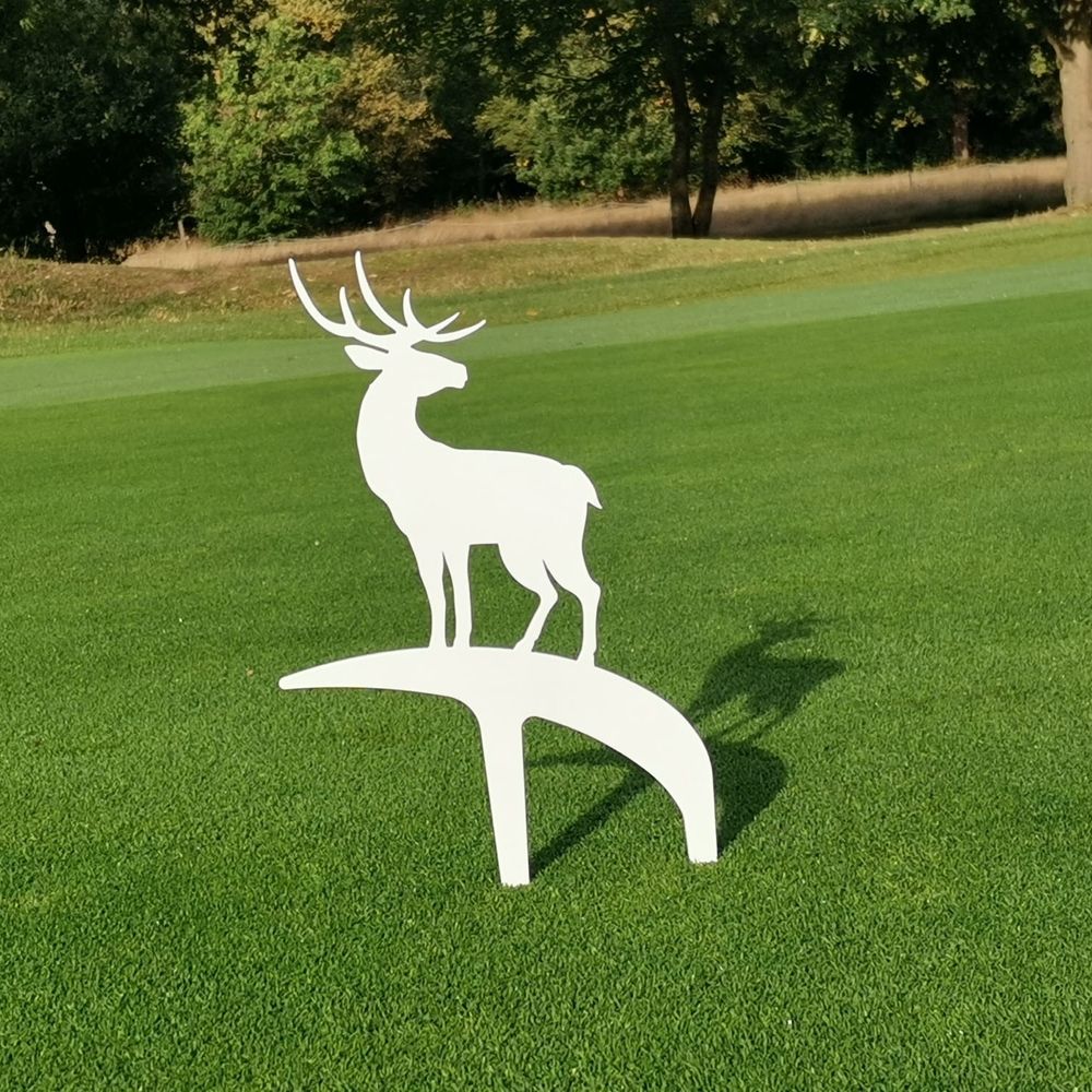 Daylinks Golf