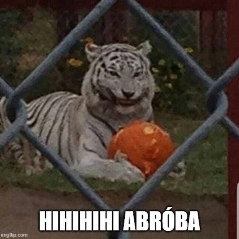 Abobra