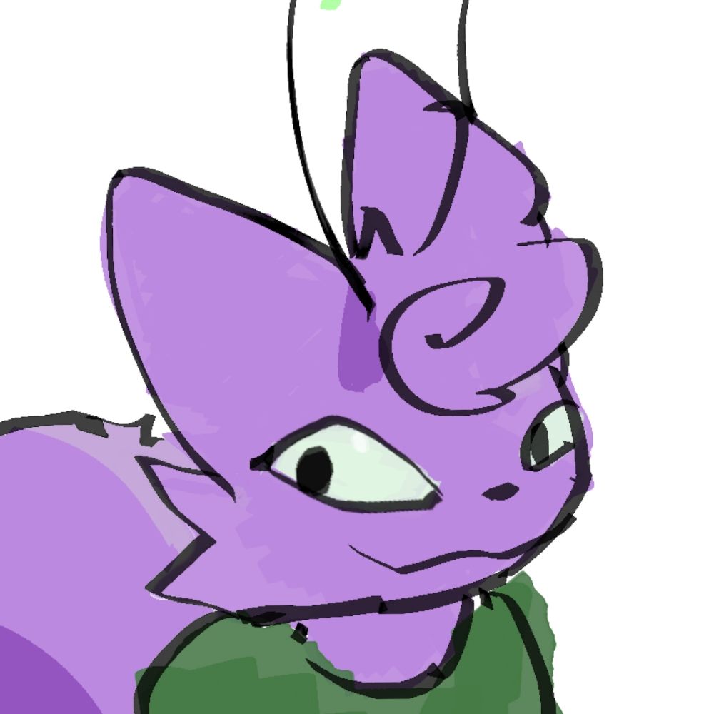 Kottie cat