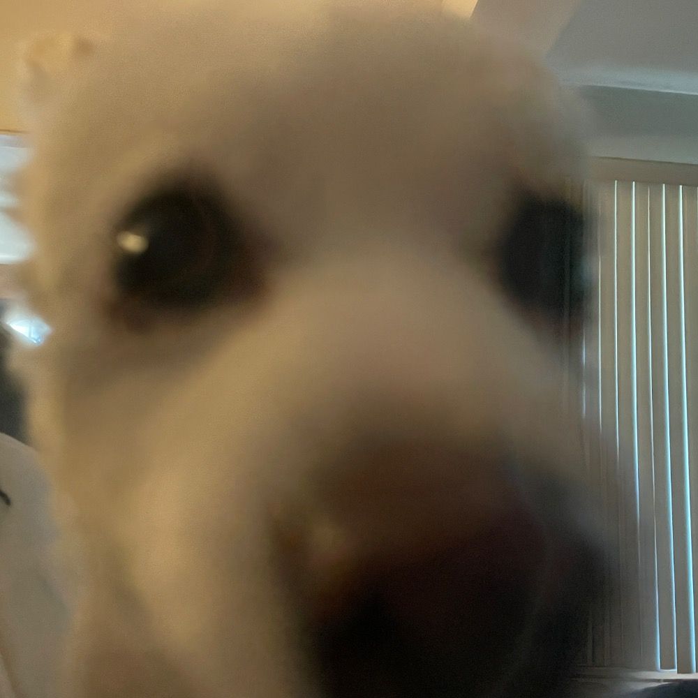 hi