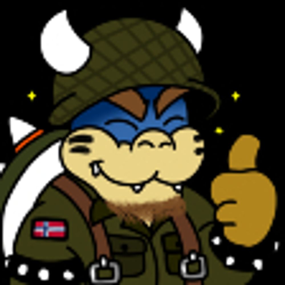 Raiwser Koopa