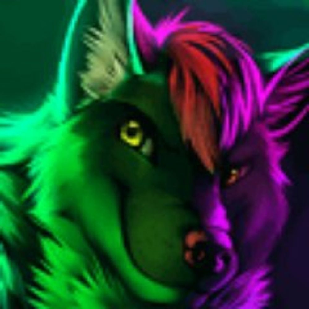 Werewolf Hospital 's avatar