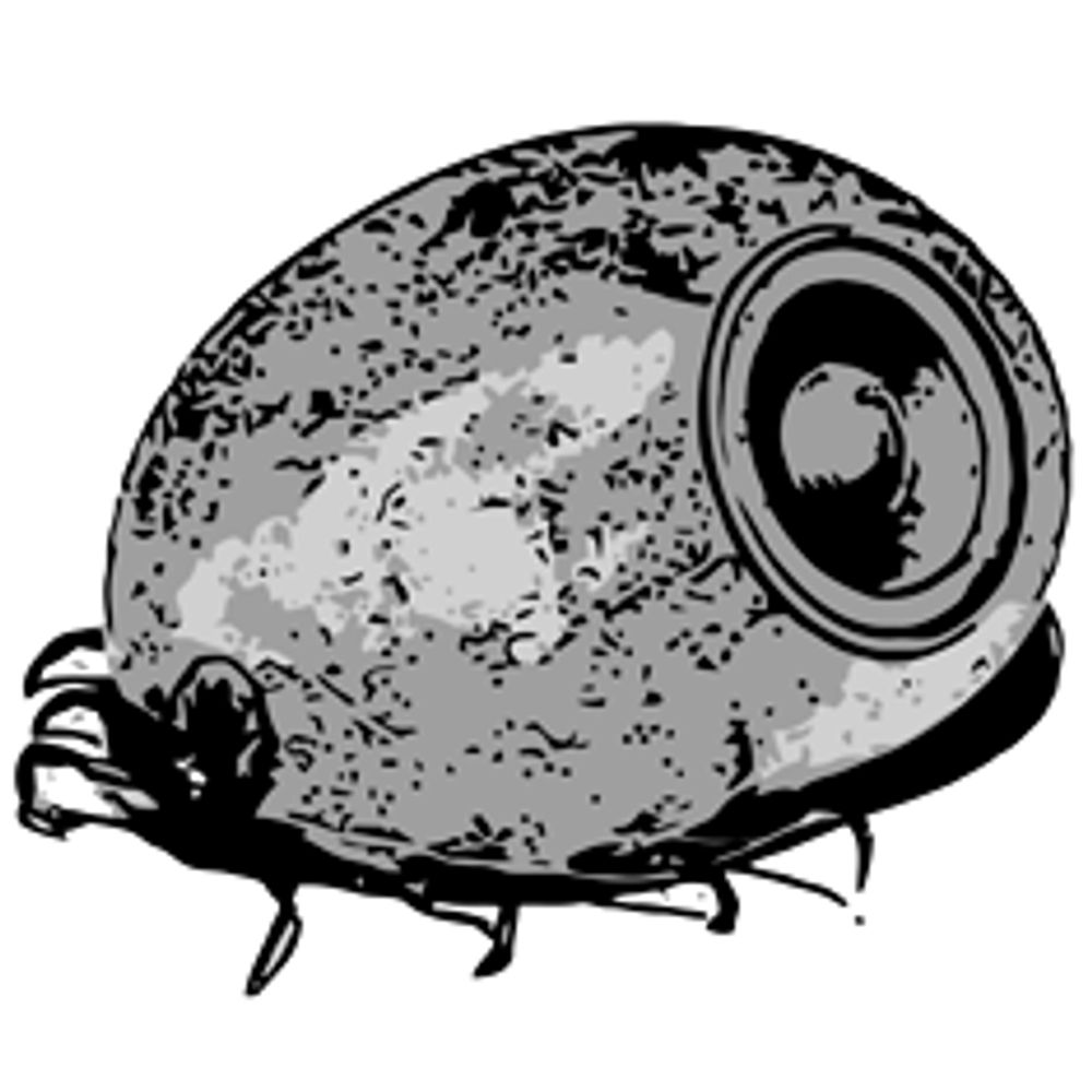 LE PARASITE.