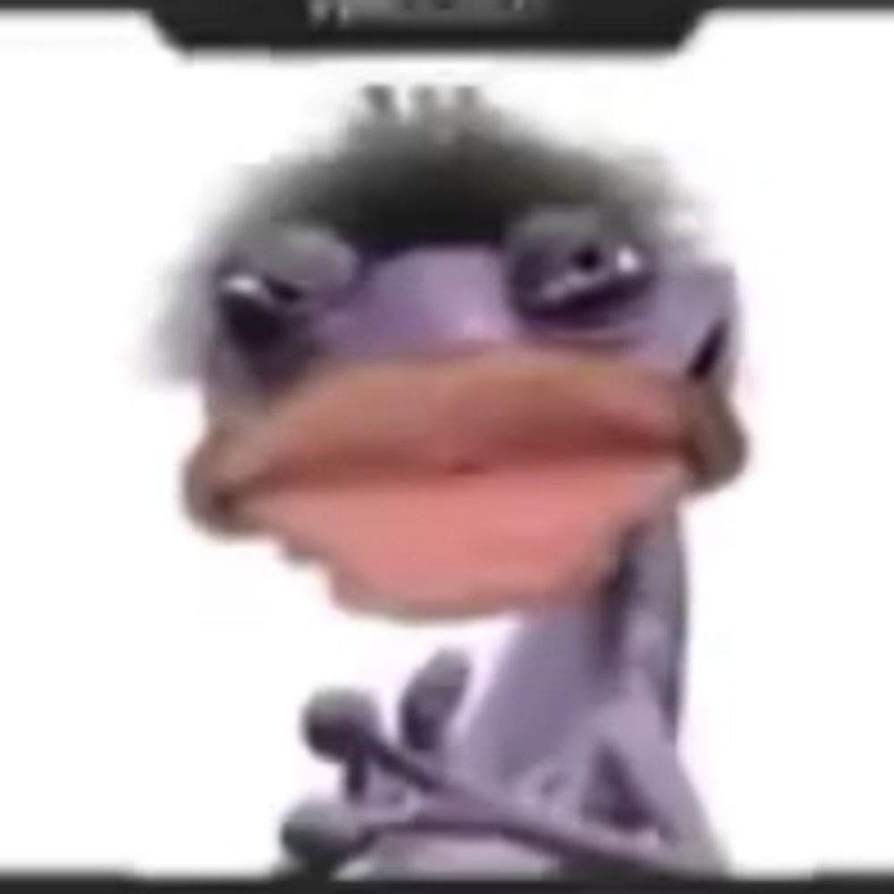 User avatar