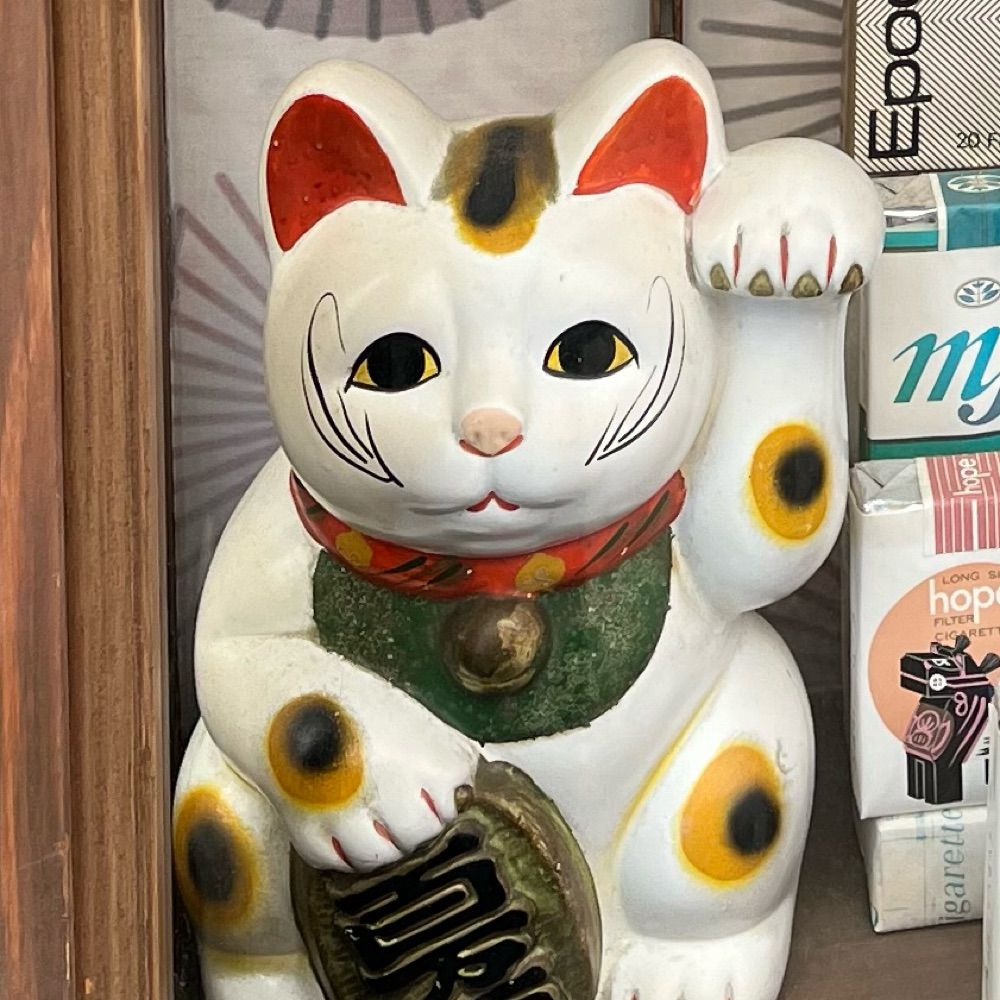 出目鳥夫