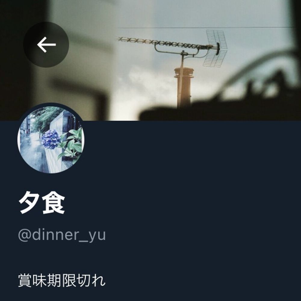 夕食