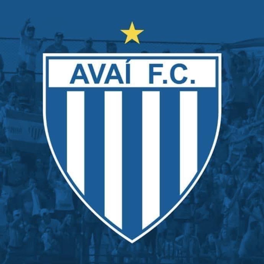 🦁 Avaí Futebol Clube