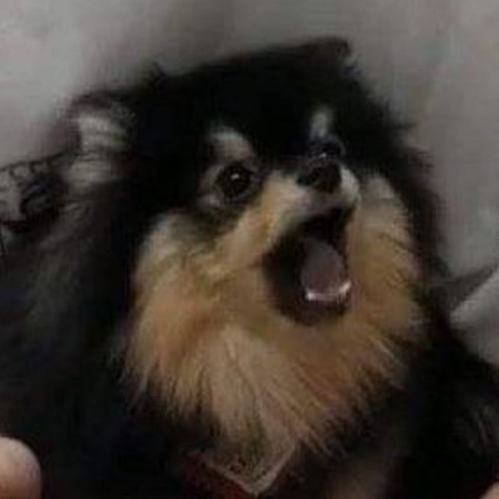 I'm Tired
