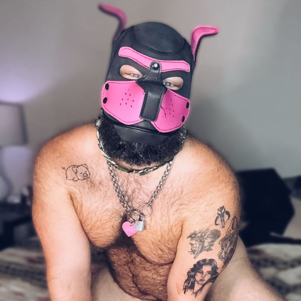Pup Hart (Ty 💖)