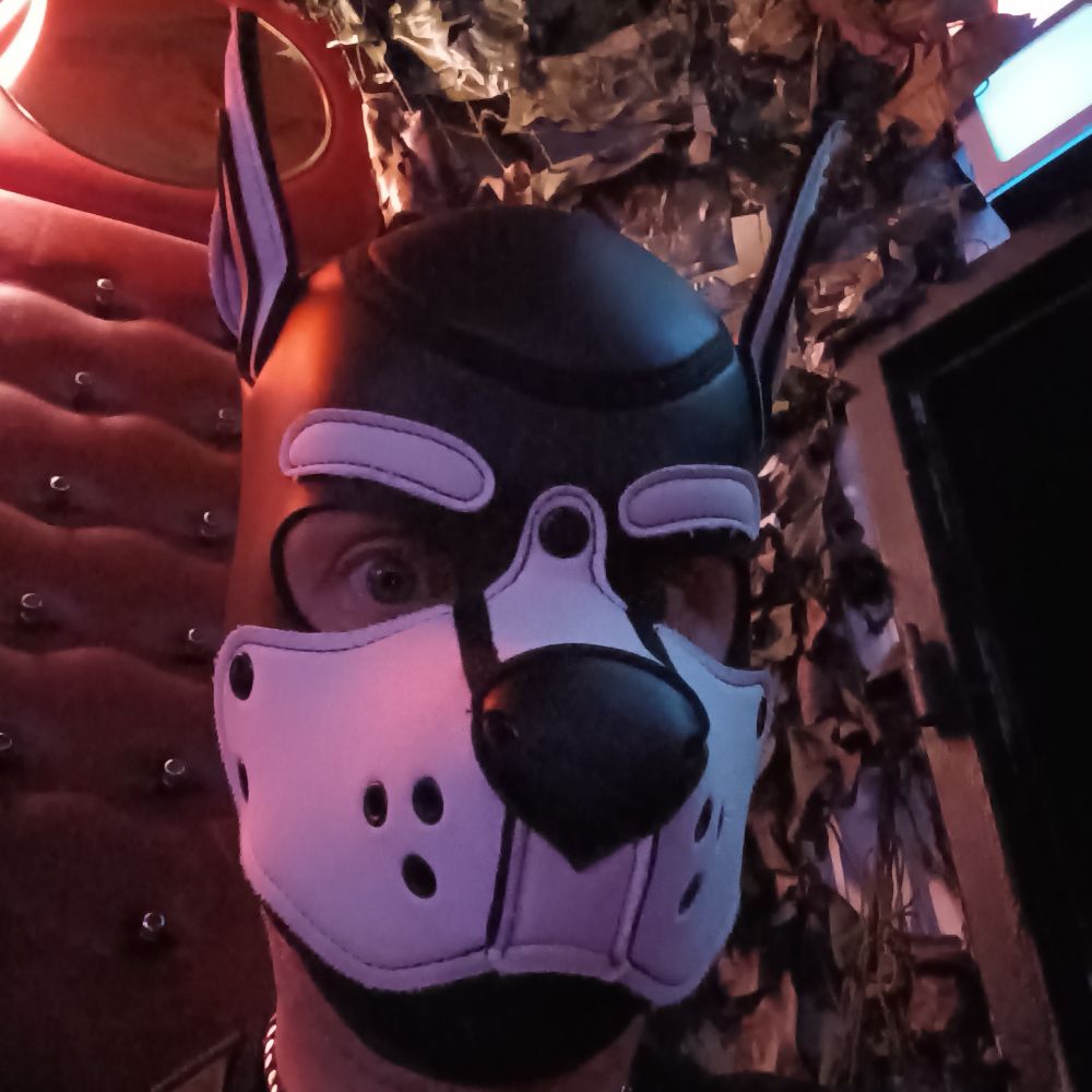 Pup Snupi