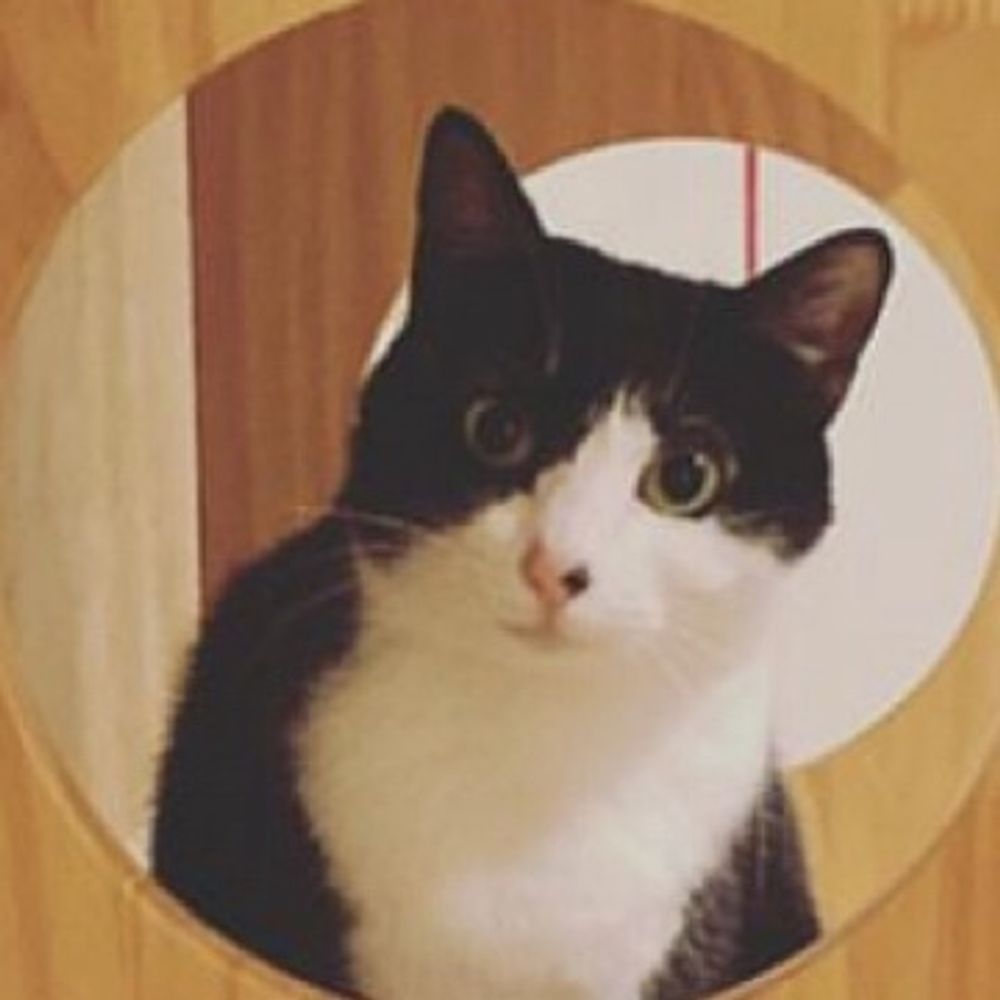 おねこ