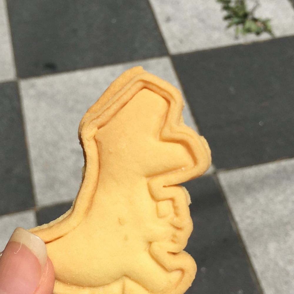 생강