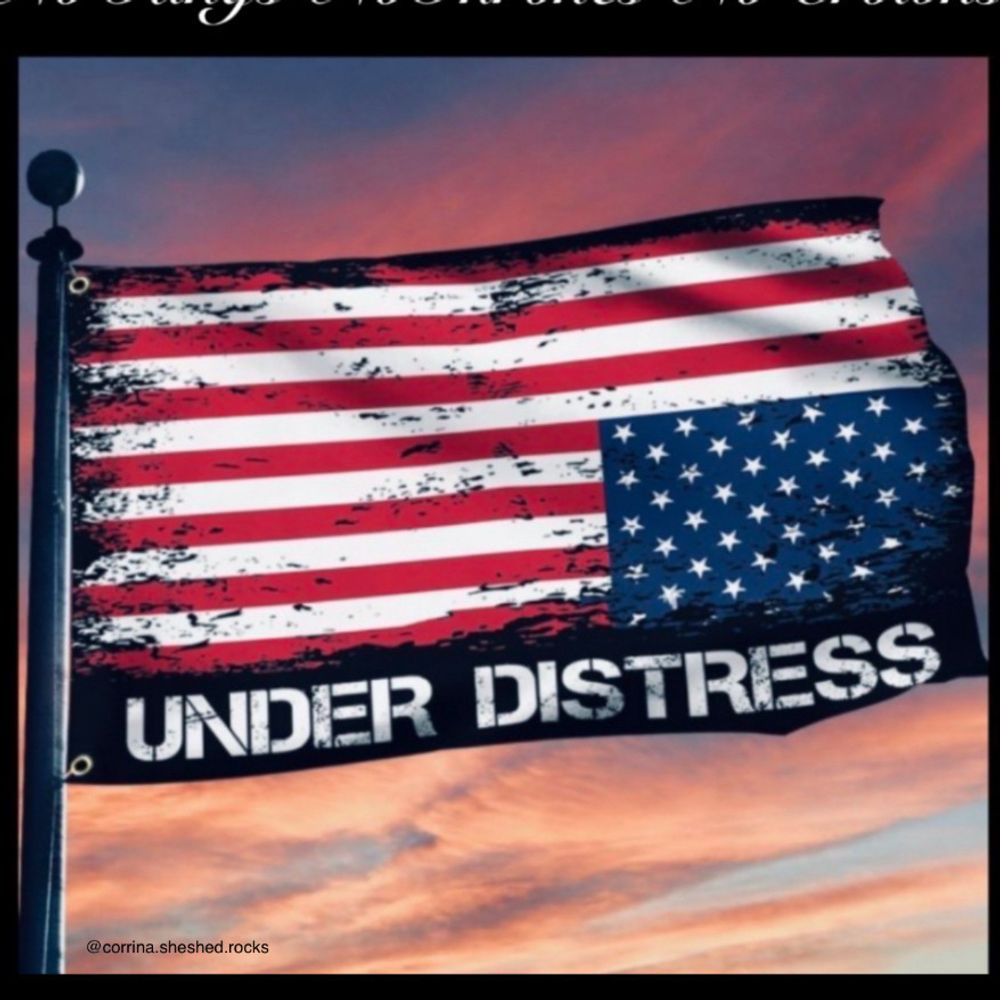 terrilee75.bsky.social profile picture