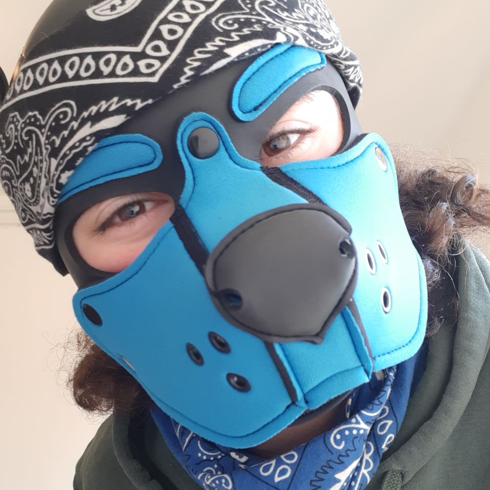 Pup_Traxon